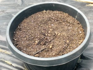 outdoor super soil 2015